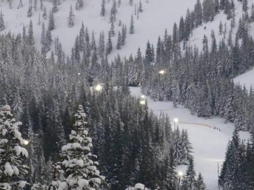 Skiers paradise! Close to slopes + heated pool! - image 3