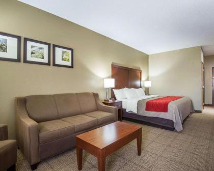 Comfort Inn Grain Valley - image 12