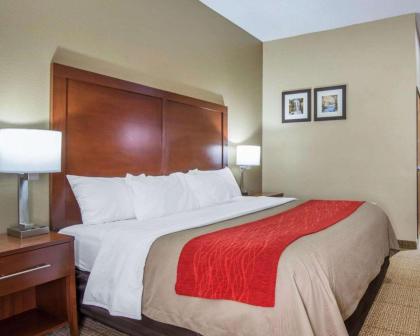 Comfort Inn Grain Valley - image 3