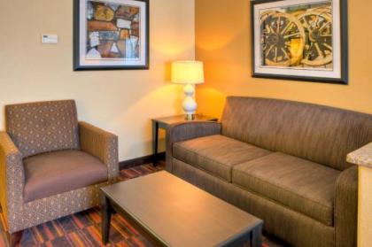 Holiday Inn Express and Suites Granbury an IHG Hotel - image 4