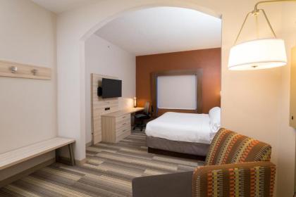 Holiday Inn Express Hotel & Suites Grand Blanc an IHG Hotel - image 10