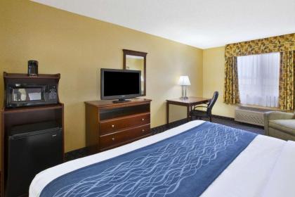 Quality Inn - image 13