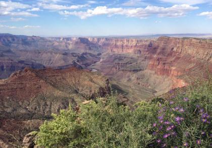 Grand Canyon Plaza Hotel - image 9