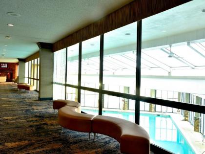 Radisson Hotel Niagara Falls-Grand Island - image 10