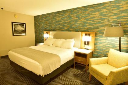 Radisson Hotel Niagara Falls-Grand Island - image 13