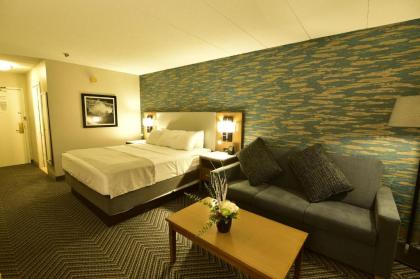 Radisson Hotel Niagara Falls-Grand Island - image 6