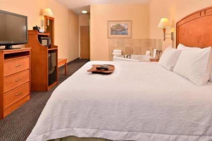 Hampton Inn Grand Island - image 10