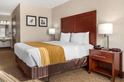 Comfort Inn Grand Island North - image 13