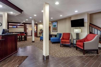 Comfort Inn Grand Island North - image 3