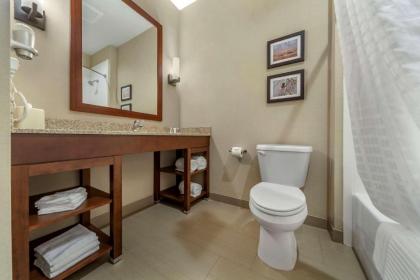 Comfort Suites Grand Island - image 10