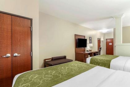 Comfort Suites Grand Island - image 12