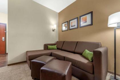 Comfort Suites Grand Island - image 13