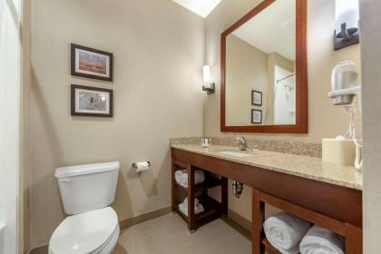 Comfort Suites Grand Island - image 14