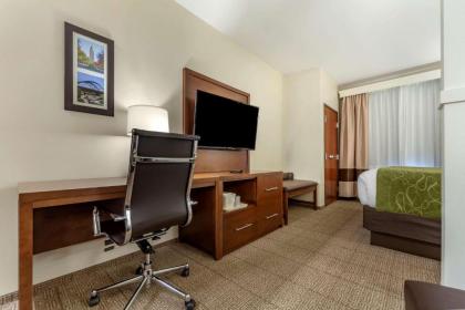 Comfort Suites Grand Island - image 9