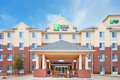 Holiday Inn Express Hotel & Suites Dallas - Grand Prairie I-20 an IHG Hotel - image 14