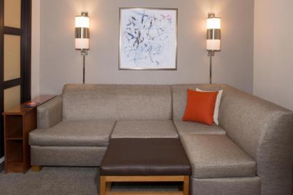 Hyatt Place Dallas/North Arlington/Grand Prairie - image 3