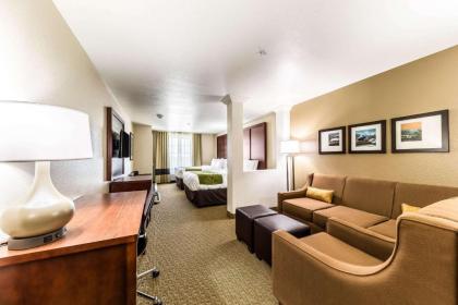 Comfort Suites Grand Prairie - Arlington North - image 10