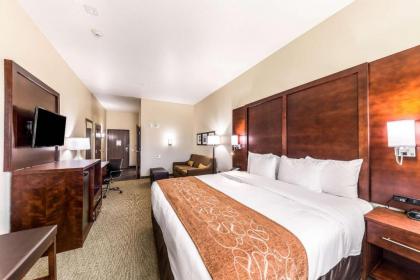 Comfort Suites Grand Prairie - Arlington North - image 13