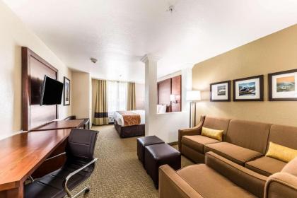 Comfort Suites Grand Prairie - Arlington North - image 9