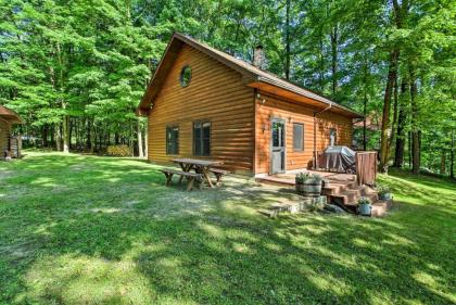 Trout Lake Cabin with Private Dock Kayaks and Loft! - image 11