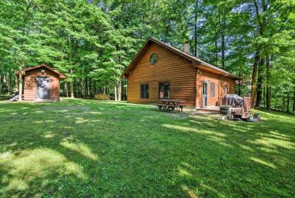 Trout Lake Cabin with Private Dock Kayaks and Loft! - image 14