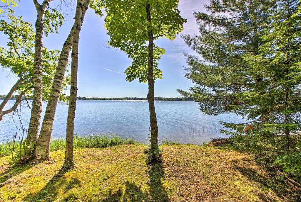 Trout Lake Cabin with Private Dock Kayaks and Loft! - image 3