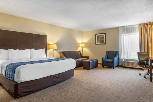 Comfort Inn Airport Grand Rapids - image 2