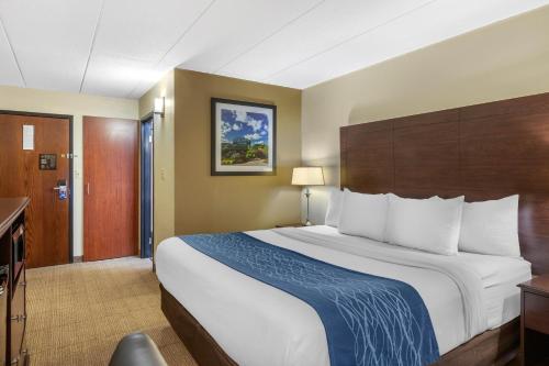 Comfort Inn Airport Grand Rapids - image 4