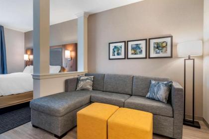 Comfort Suites Grandview - Kansas City - image 13