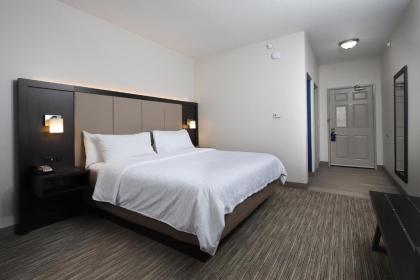 Holiday Inn Express Grand Rapids Southwest an IHG Hotel - image 18