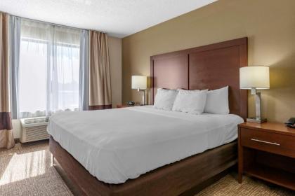 Comfort Suites Grandville - image 10