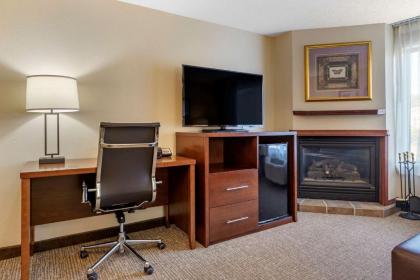 Comfort Suites Grandville - image 14