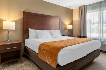 Comfort Suites Grandville - image 15