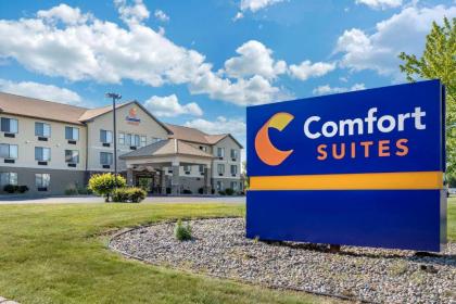 Comfort Suites Grandville - image 6