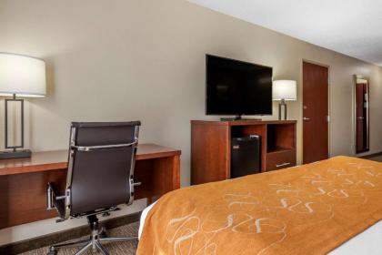 Comfort Suites Grandville - image 8