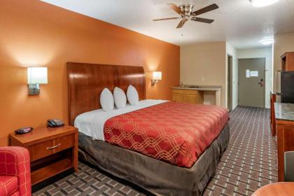 Econo Lodge Inn & Suites Granite City - image 12