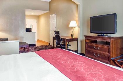 Comfort Suites Grantville - Hershey North - image 8