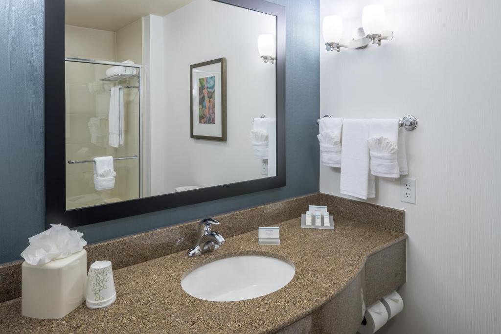 Hilton Garden Inn DFW North Grapevine - image 5