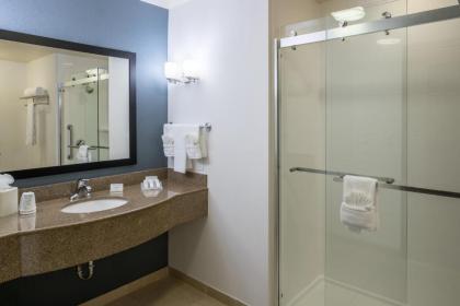 Hilton Garden Inn DFW North Grapevine - image 8