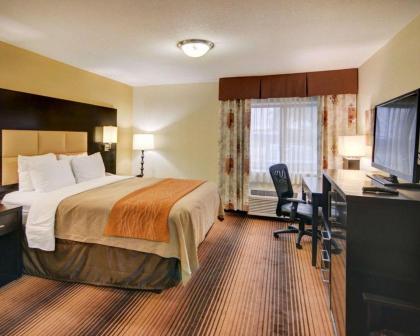 Comfort Inn Grapevine - image 10