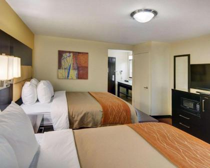 Comfort Inn Grapevine - image 3