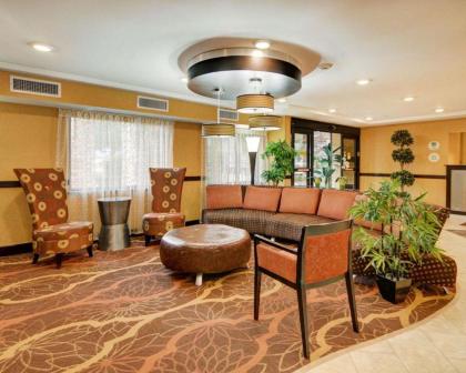 Comfort Inn Grapevine - image 5