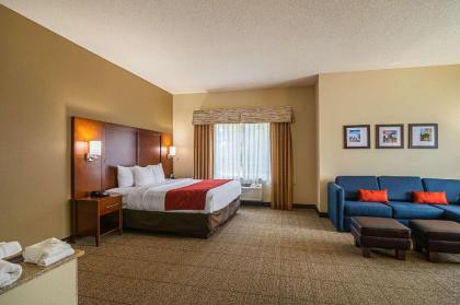 Comfort Suites Grayslake - image 13