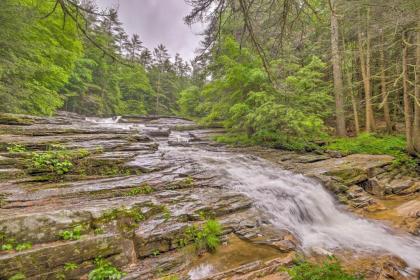 The Mill River Cabin with Fireplace and River View! - image 8