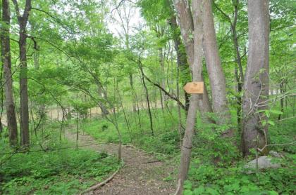 Chesnutt Cabin - image 14