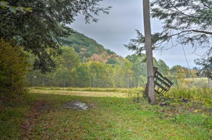 Great Valley Mtn House on 30 Acres with Pond and Grill - image 4