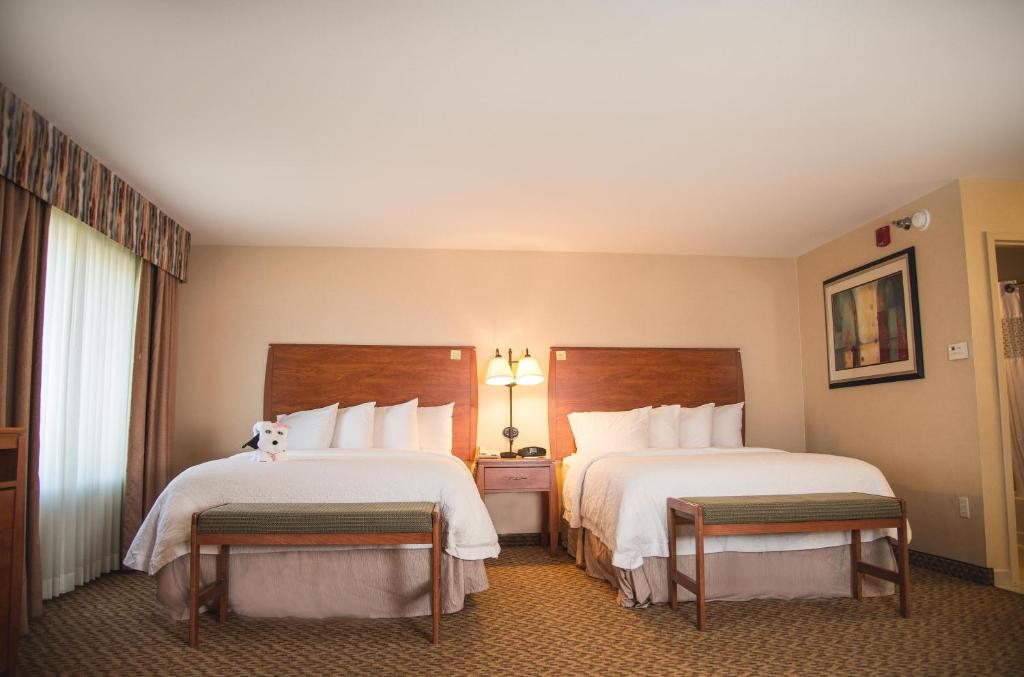 Hampton Inn & Suites Greeley - image 7