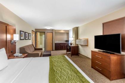 Comfort Inn & Suites Greeley - image 13