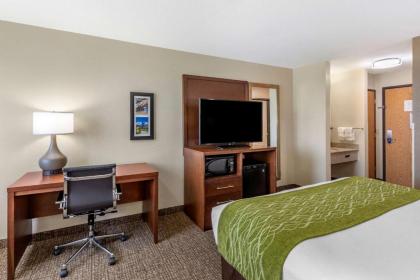 Comfort Inn & Suites Greeley - image 5