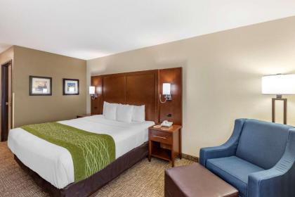 Comfort Inn & Suites Greeley - image 6